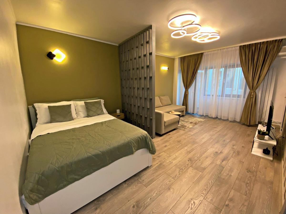 Lovely Studio In The City Center Of 布加勒斯特 外观 照片